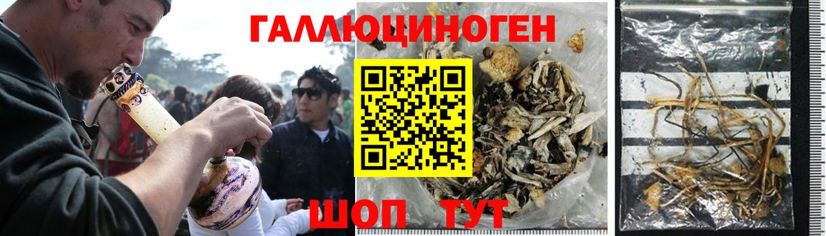 Псилоцибиновые грибы Magic Shrooms Гай