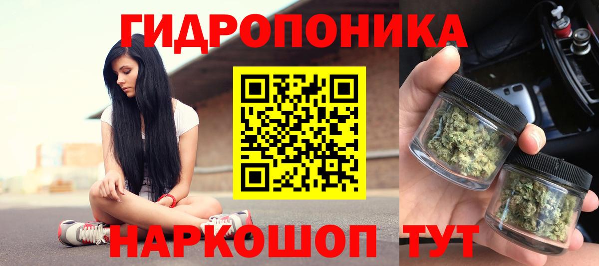 Бошки марихуана Ganja Гай
